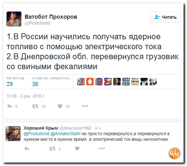 "Мыздобулы" в картинках. Смешных и не очень... 4-12-2016