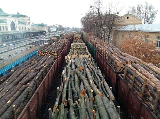 Хроники страны безлеса или где же вонЫ будут схроны копать?