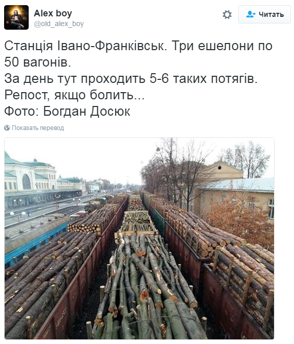 Хроники страны безлеса или где же вонЫ будут схроны копать?