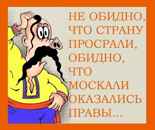 "Мыздобулы" в картинках. Смешных и не очень... 5-12-2016