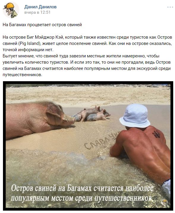 "Мыздобулы" в картинках. Смешных и не очень... 5-12-2016