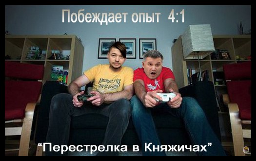 "Мыздобулы" в картинках. Смешных и не очень... 5-12-2016