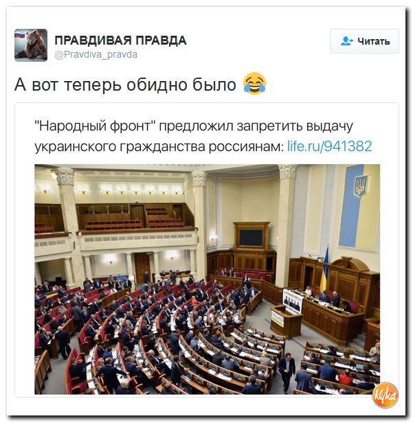"Мыздобулы" в картинках. Смешных и не очень... 5-12-2016