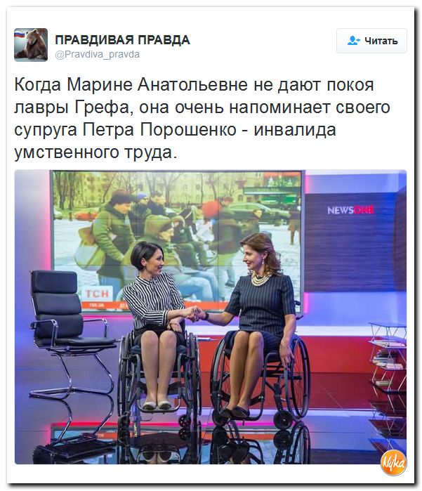"Мыздобулы" в картинках. Смешных и не очень... 5-12-2016
