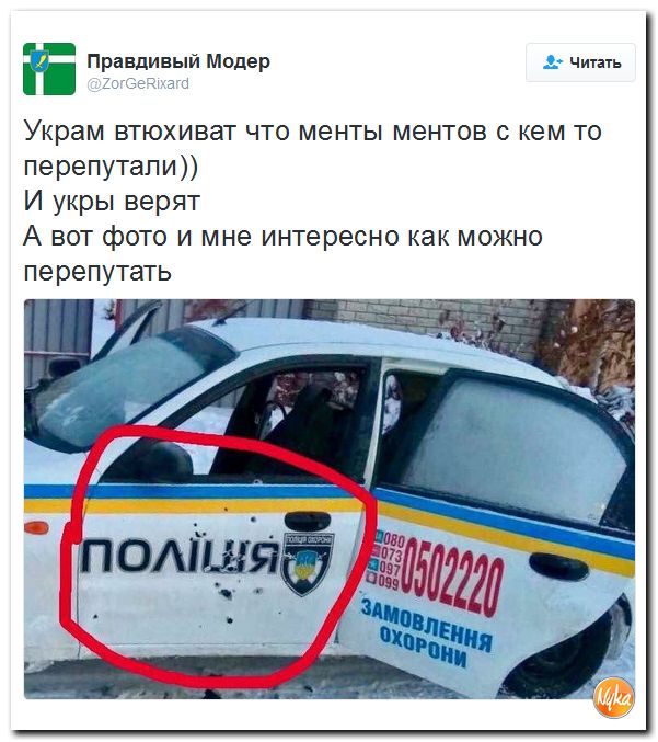 "Мыздобулы" в картинках. Смешных и не очень... 5-12-2016