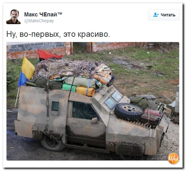 "Мыздобулы" в картинках. Смешных и не очень... 5-12-2016