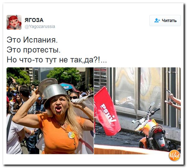 "Мыздобулы" в картинках. Смешных и не очень... 5-12-2016