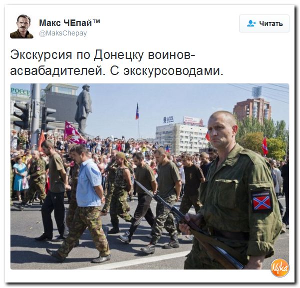 "Мыздобулы" в картинках. Смешных и не очень... 5-12-2016