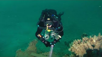 У берегов Крыма нашли следы сокровищ британской короны