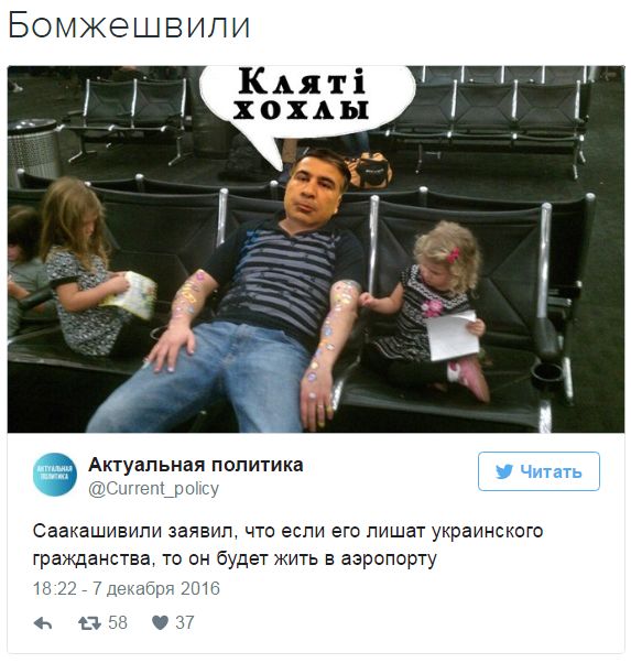 "Мыздобулы" в картинках. Смешных и не очень... 8-12-2016