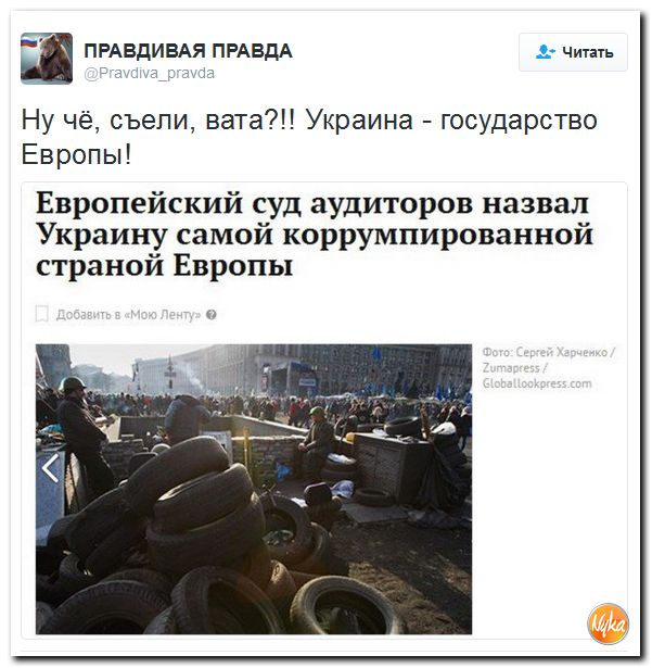 "Мыздобулы" в картинках. Смешных и не очень... 8-12-2016