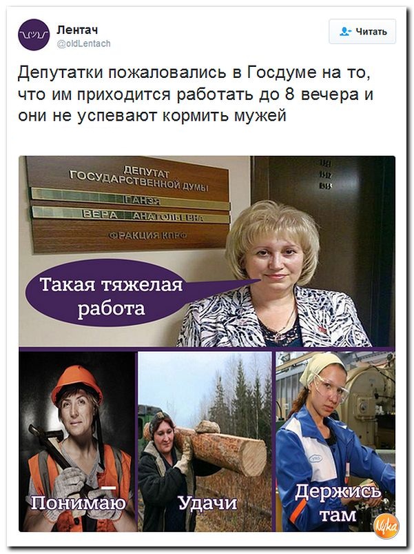 "Мыздобулы" в картинках. Смешных и не очень... 8-12-2016