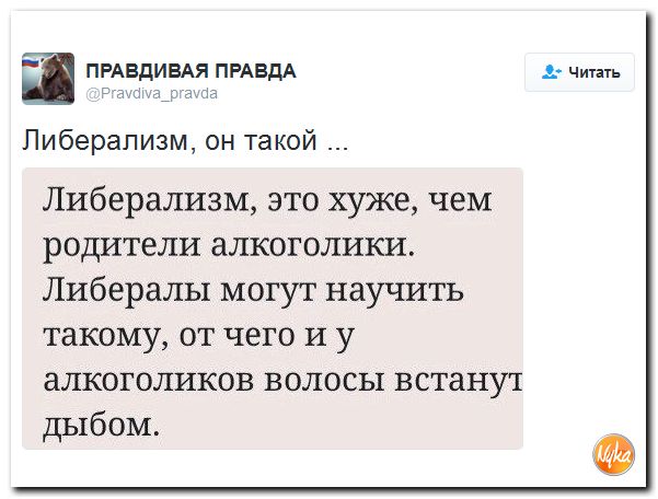 "Мыздобулы" в картинках. Смешных и не очень... 8-12-2016