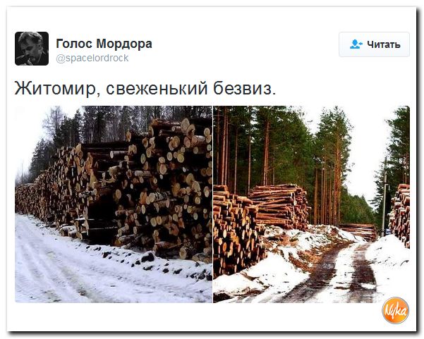 "Мыздобулы" в картинках. Смешных и не очень... 8-12-2016