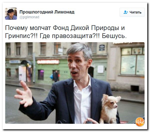 "Мыздобулы" в картинках. Смешных и не очень... 8-12-2016