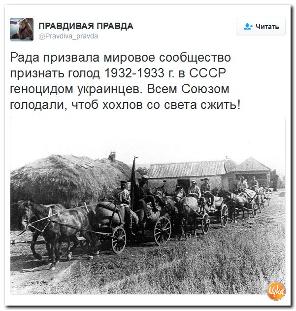 "Мыздобулы" в картинках. Смешных и не очень... 8-12-2016