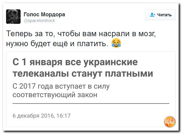 "Мыздобулы" в картинках. Смешных и не очень... 8-12-2016