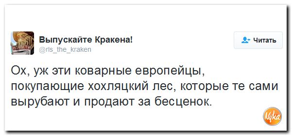 "Мыздобулы" в картинках. Смешных и не очень... 8-12-2016