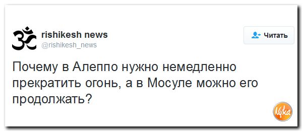 "Мыздобулы" в картинках. Смешных и не очень... 8-12-2016