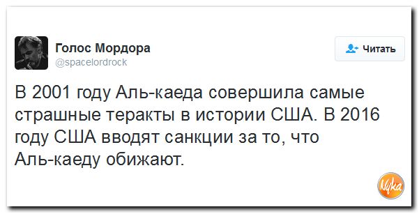 "Мыздобулы" в картинках. Смешных и не очень... 8-12-2016