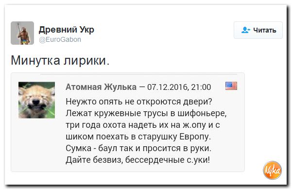 "Мыздобулы" в картинках. Смешных и не очень... 8-12-2016