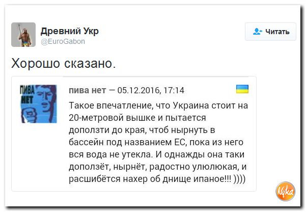 "Мыздобулы" в картинках. Смешных и не очень... 8-12-2016