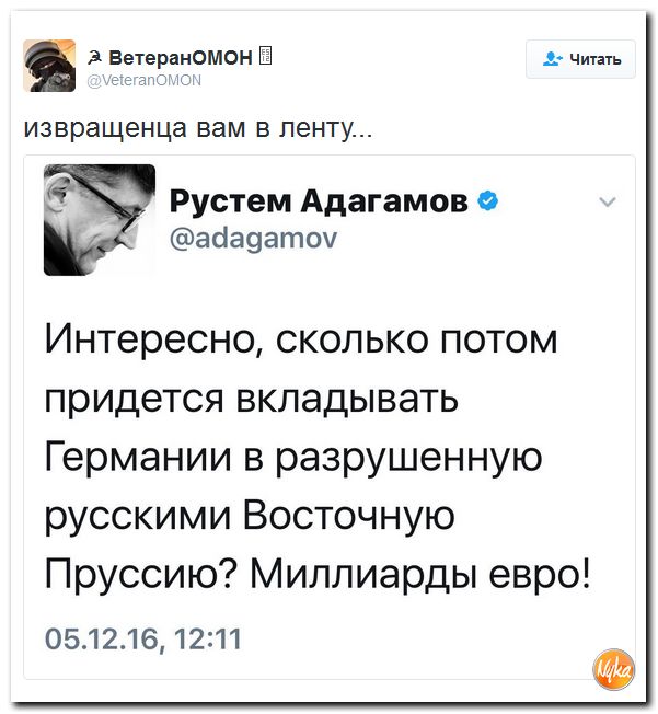 "Мыздобулы" в картинках. Смешных и не очень... 8-12-2016