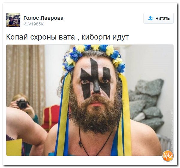 "Мыздобулы" в картинках. Смешных и не очень... 8-12-2016