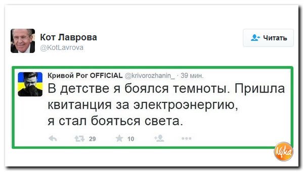 "Мыздобулы" в картинках. Смешных и не очень... 8-12-2016