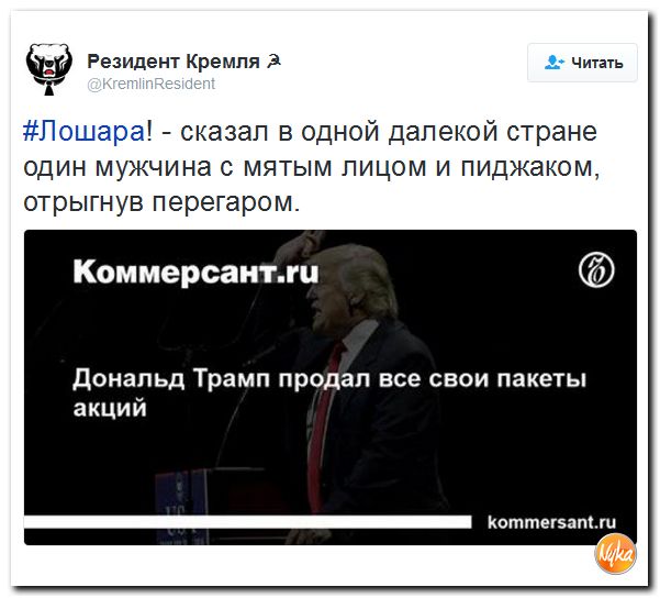 "Мыздобулы" в картинках. Смешных и не очень... 8-12-2016