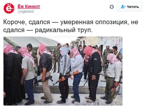"Мыздобулы" в картинках. Смешных и не очень... 8-12-2016