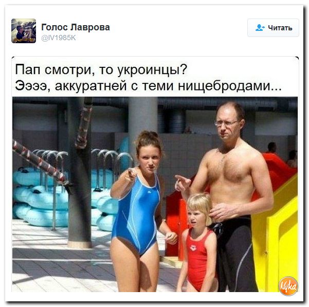 "Мыздобулы" в картинках. Смешных и не очень... 8-12-2016
