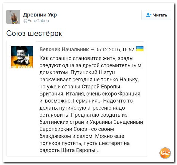 "Мыздобулы" в картинках. Смешных и не очень... 8-12-2016