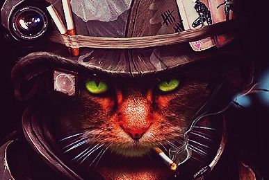 В Славянске на службу украинской пропаганде поставили котов