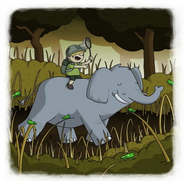 Пословицы и поговорки разных стран мира, понятые и проиллюстрированные 