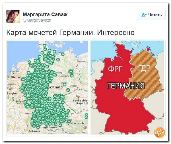 "Мыздобулы" в картинках. Смешных и не очень... 10-12-2016