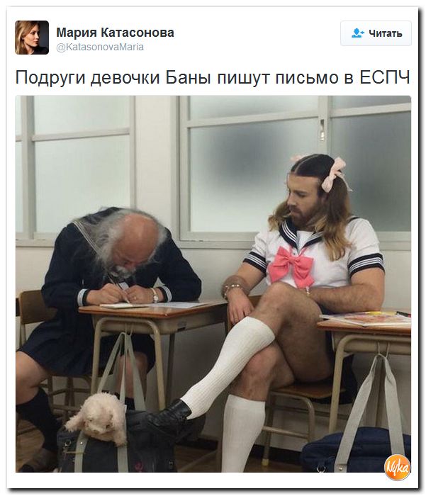 "Мыздобулы" в картинках. Смешных и не очень... 10-12-2016