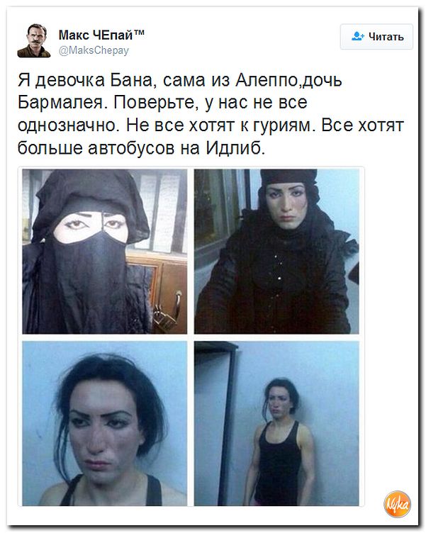 "Мыздобулы" в картинках. Смешных и не очень... 10-12-2016