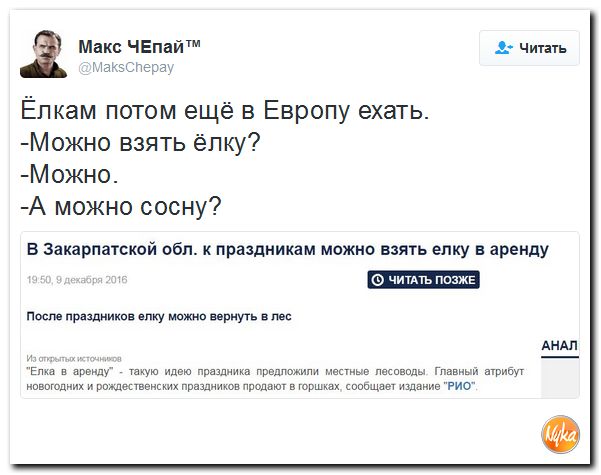 "Мыздобулы" в картинках. Смешных и не очень... 10-12-2016