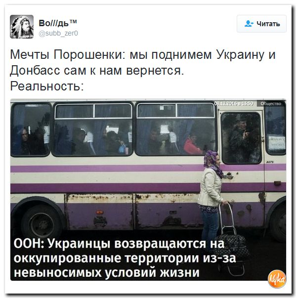 "Мыздобулы" в картинках. Смешных и не очень... 10-12-2016