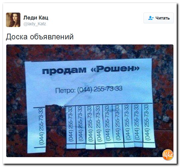 "Мыздобулы" в картинках. Смешных и не очень... 10-12-2016