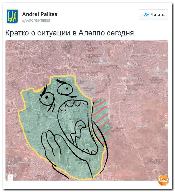 "Мыздобулы" в картинках. Смешных и не очень... 10-12-2016