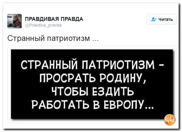 "Мыздобулы" в картинках. Смешных и не очень... 10-12-2016