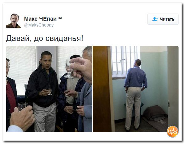 "Мыздобулы" в картинках. Смешных и не очень... 10-12-2016