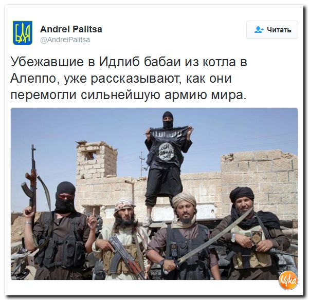 "Мыздобулы" в картинках. Смешных и не очень... 10-12-2016