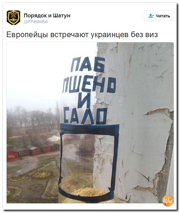 "Мыздобулы" в картинках. Смешных и не очень... 10-12-2016