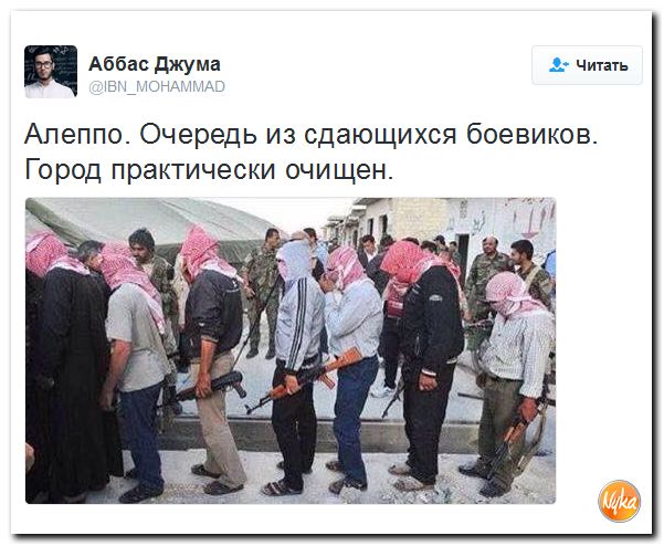 "Мыздобулы" в картинках. Смешных и не очень... 10-12-2016