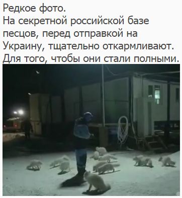 "Мыздобулы" в картинках. Смешных и не очень... 11-12-2016