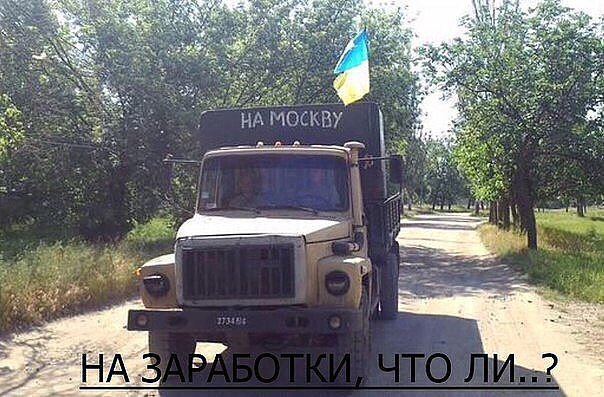 "Мыздобулы" в картинках. Смешных и не очень... 11-12-2016
