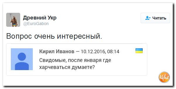 "Мыздобулы" в картинках. Смешных и не очень... 11-12-2016